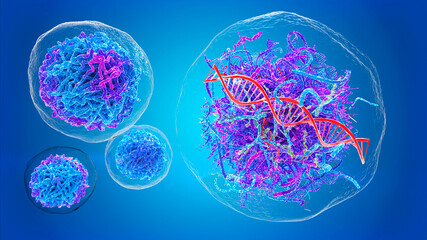 Healthy human cell and malignant, cancer cell destroying DNA
