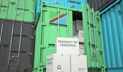 Cartons with goods from Tanzania and shipping containers in the port terminal or warehouse. National production related conceptual 3D rendering