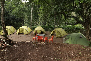touristic tent in a forest