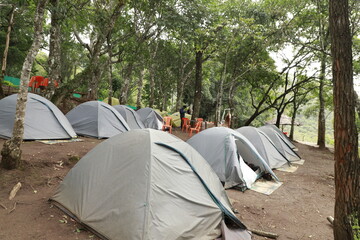 touristic tent in a forest