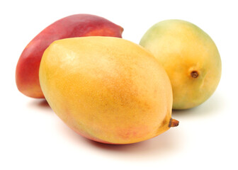 mangos on a white background