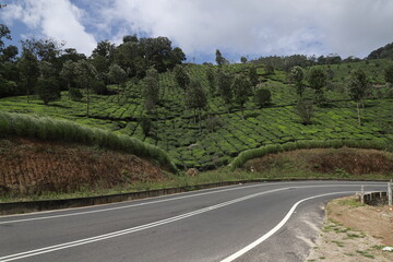 road to the mountains and tea plantations