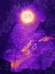 Obraz na płótnie Canvas fantastic halloween background illustration of mysterious deep forest night scene and big beautiful full moon.