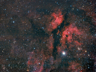 Der Schmetterlingsnebel um den hellen Stern Sadr mit einem modernen Astrofotografie-Setup fotografiert und farbkalibriert.