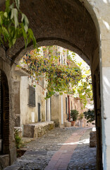 Beautiful street and grape vines in Cagnes sur Mer, France 