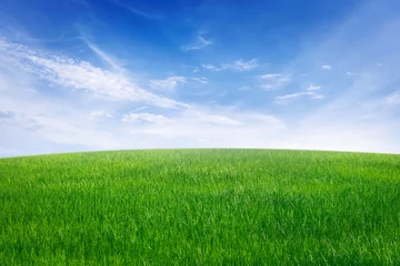 Foto op Plexiglas groen grasveld met blauwe lucht en witte wolk. natuur landschap achtergrond © lovelyday12