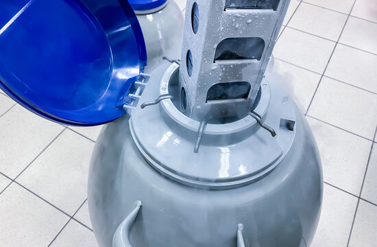 Rack Of Cryoboxes Being Pulled Out Of A Liquid Nitrogen Tank. Biobanking Of Frozen Biological Specimens Is Known As Cryopreservation.