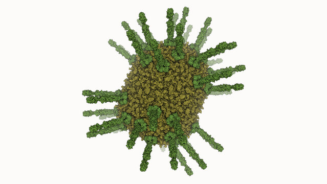 The 3D rendering of a head of a bacteriophage. Bacteriophages are viruses that infect bacteria. 