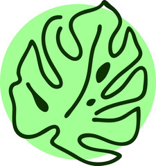 Monstera green leaf sihougette. Tropical exotic nature plants, summer vacation holiday theme illustration decorative element. Minimalism style logo or background colorful vector design.