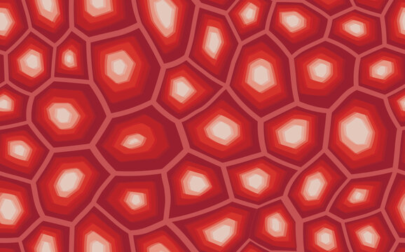 Abstract modern turtle shell seamless pattern. Animals trendy background. Beige decorative vector illustration for print, fabric, textile. Modern ornament of stylized skin