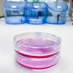 Two cell culture dishes stacked on each other. The Chinese Hamster Ovary (CHO) cells are cultured...