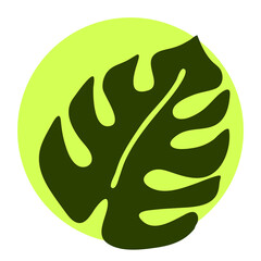 Monstera green leaf silhouette. Tropical vacation holiday, nature palms exotic plants theme. Decorative illustration element. Minimalism style logo or background colorful design.