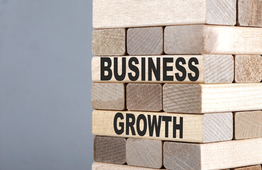 The text on the wooden blocks BUSINESS GROWTH
