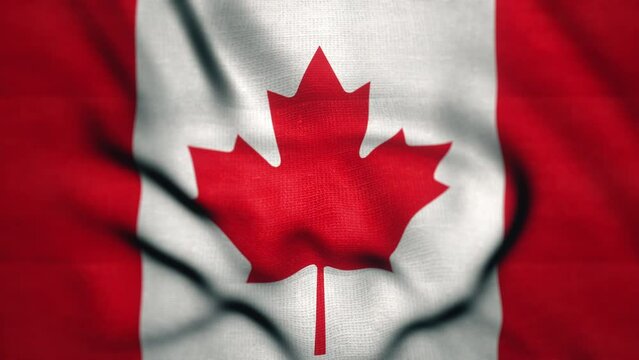 Waving colorful flag of Canada. Canada National flag is blowing in the wind