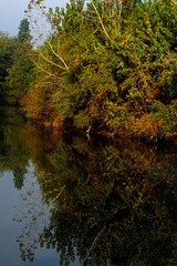 autumn and river