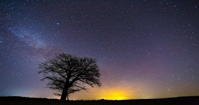 Time-Lapse of Milky-way rising above the tree