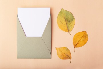 Photography from above of craft envelope with blank card,dry leafs near it.Autumn concept.