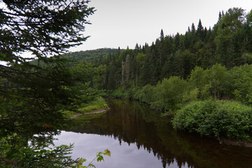 Fototapeta premium Glimpse of La Mauricie National Park, Quebec