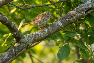 nature at its finest