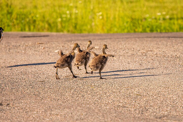 nature at its finest