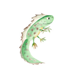 Cute smiling newt isolated on white background. Watercolor hand drawn illustration. Perfect for kid illustrations, clothes prints, decals, stickers.