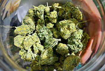 Cannabis medical Marijuana CBD flower buds at dispensary