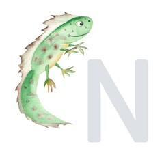 Letter N, newt, cute kids animal ABC alphabet. Watercolor illustration isolated on white background. Can be used for alphabet or cards for kids learning English vocabulary and handwriting