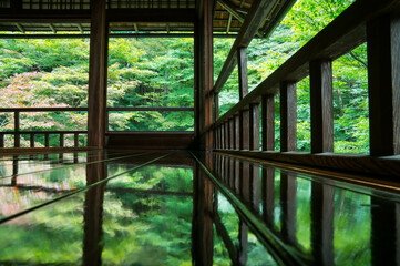 京都 晩夏の瑠璃光院の新緑を反射した美しい廊下