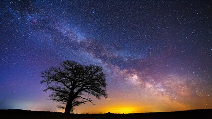 Fototapeta na wymiar Night landscape with colorful Milky Way and an Oak tree