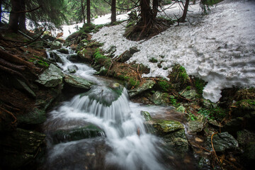 Walk along the water in the national park.