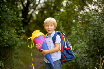 Cute blond child, boy with candy cone on first school day in Czech Republic, German tradition