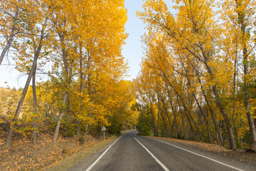 Fototapeta premium Autumn Colors in the Savsat Village, Savsat Artvin, Turkey