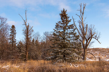 all photos are of nature and landscapes