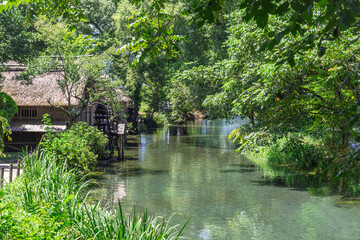 緑の樹木に覆われた水車小屋と小川の清流