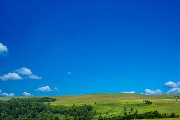 Fototapeta na wymiar 青空を背景にした地平線の見える草原