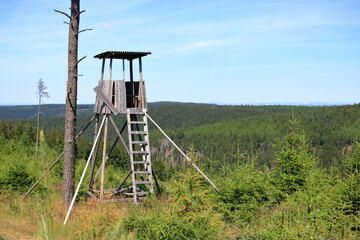 Hunting tower in the forest. Wooden Hunter Hide High watch post tower. Hunter's observation point...