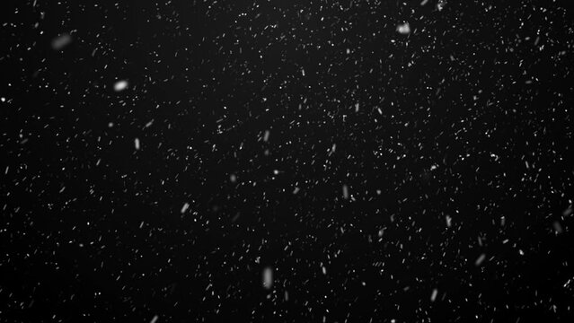 falling snow on black and green screen background