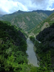 Naklejka premium green