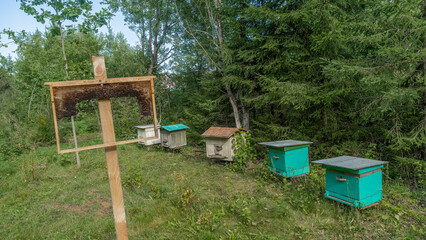 Obraz na płótnie Canvas Defocesed honeycomb in the foreground. In the background beehives for bees under the trees. Beekeeping or apiculture concepts.