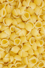 Small cooked shell pasta background