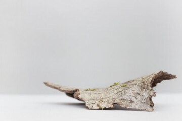 empty bark of tree podium minimalism on grey background. Copy space, place for text 