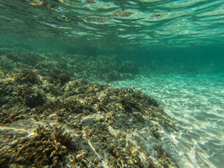 underwater scene with rays of light on a beach on the island of Mallorca	