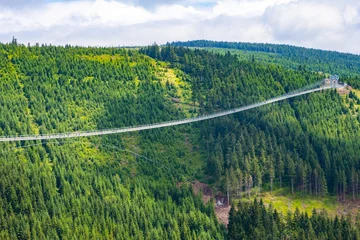 Foto op Canvas Sky Bridge 721 is the longest suspension bridge between two hills in the forest, Dolni Morava, Czech Republic . One way footbridge in touristic place in the forest in summer.  © vladim_ka