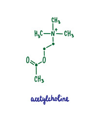 Acetylcholine hand drawn vector formula chemical structure lettering blue green