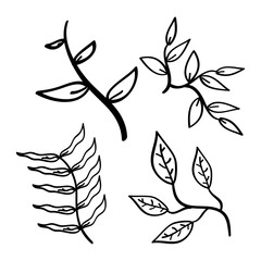 Fototapeta na wymiar hand drawn leaf icons in doodle style