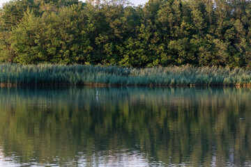 wonderful lake with reflection