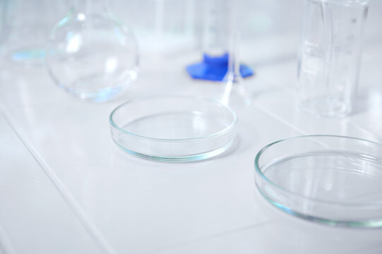 Focus on a glass lab plate - a Petri dish on a white table on the blurred background labware for biochemical experiment. Chemistry set in a scientific biological and chemical laboratory. Copy ad space