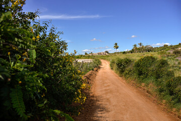 Fototapeta na wymiar road in the countryside in summer, Araruna, Pb, Paraíba, Brazil, brazilian trails, travels in brazil, northeastern brazil