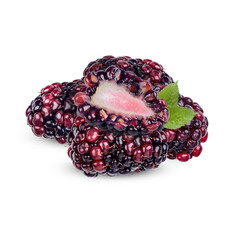 Fresh Blackberry with leaves isolated on white background