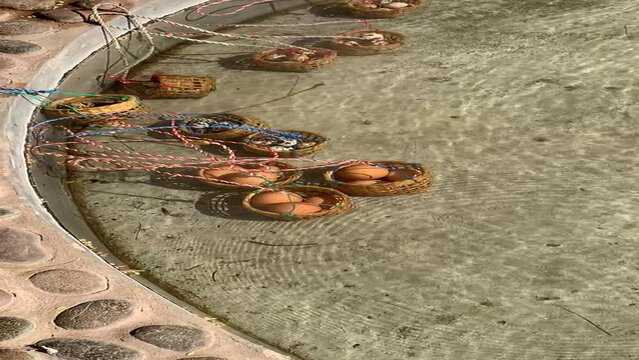 Oeufs bouillis dans un panier, source d'eau chaude proche de Chiang Rai - Tha&iuml;lande